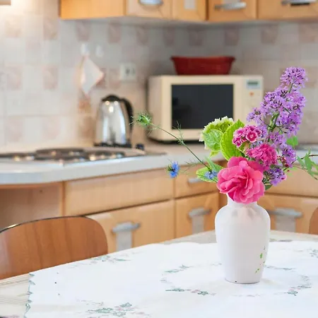 Apartments Maxi Rovinj Zewnętrze zdjęcie