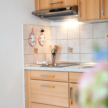Apartments Maxi Rovinj Pokój zdjęcie
